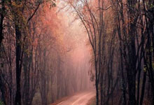 DeFi's Grand 2025 Vision After the October Crash: Unpacking Investor Trends, Performance Breakthroughs, & Our Path Forward