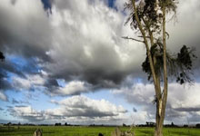 Bitcoin's Resurgence & The Stock Market's Ascent: Unpacking the Momentum & What It Signals for Our Shared Future