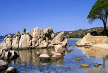 Bitcoin's Resurgence & The Stock Market's Ascent: Unpacking the Momentum & What It Signals for Our Shared Future